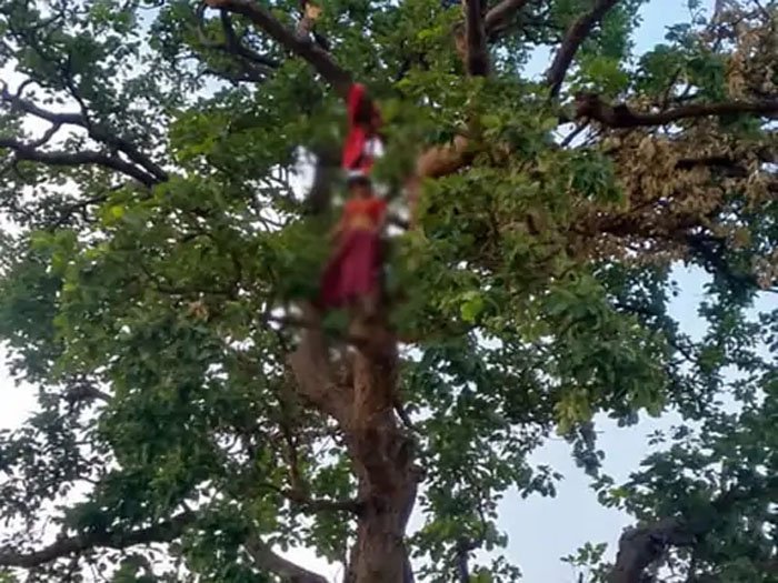 विवाहिता की लाश