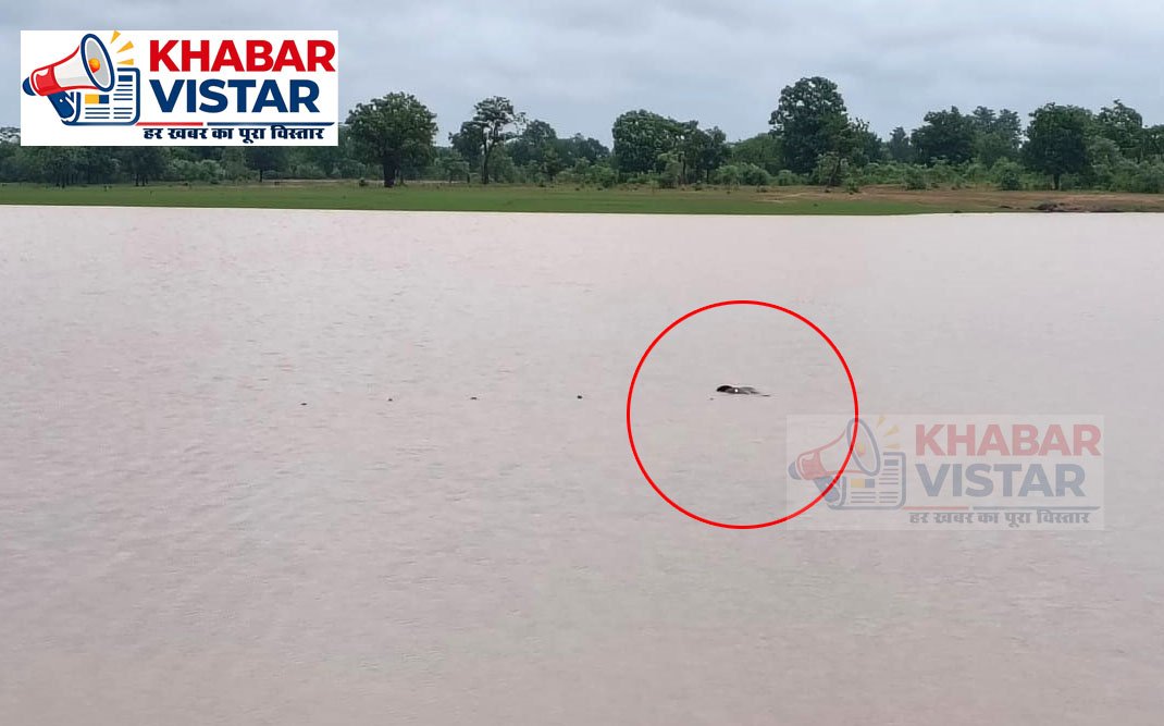 Youth drowns in reservoir