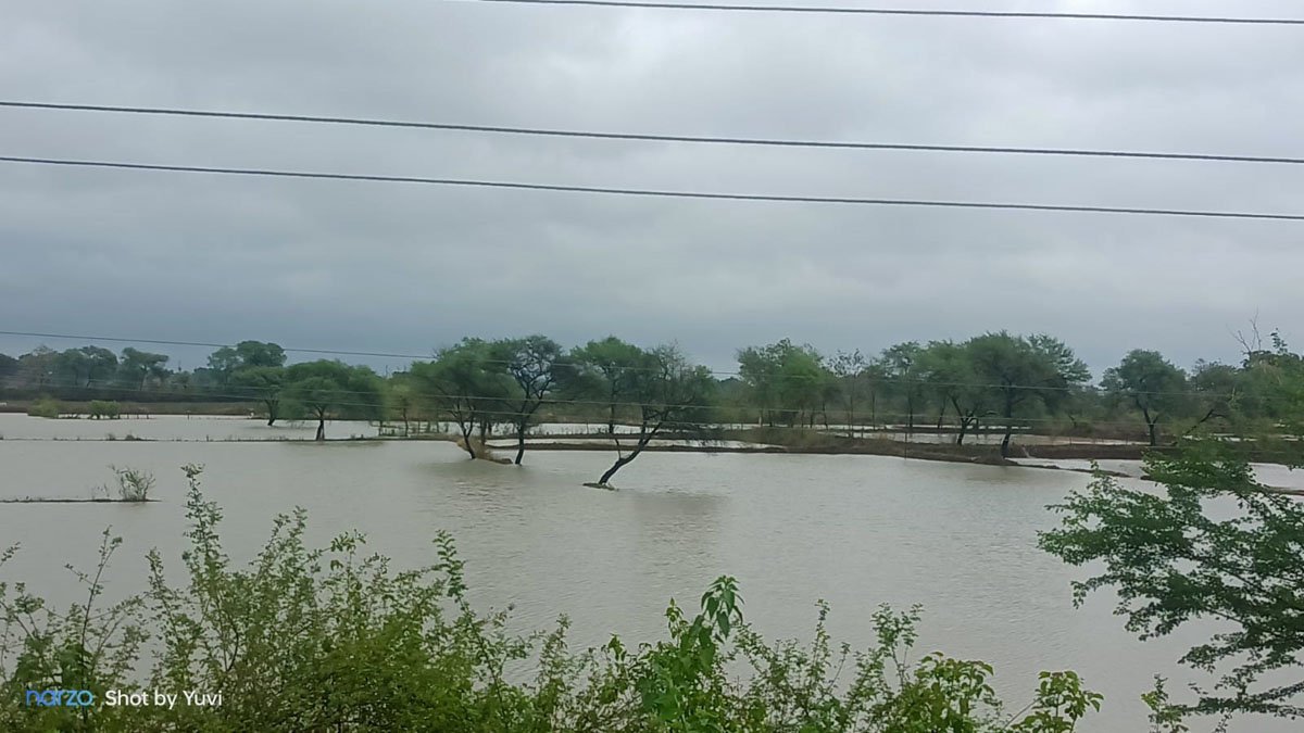 Rain: बारिश में डूबा नवापारा