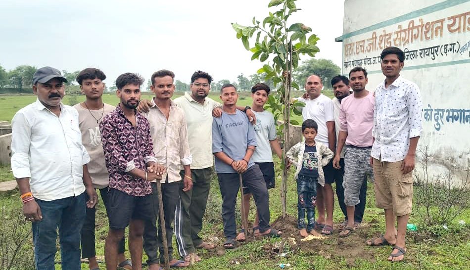 tree planting campaign