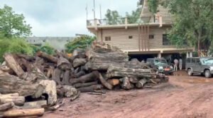 Raid on sawmill