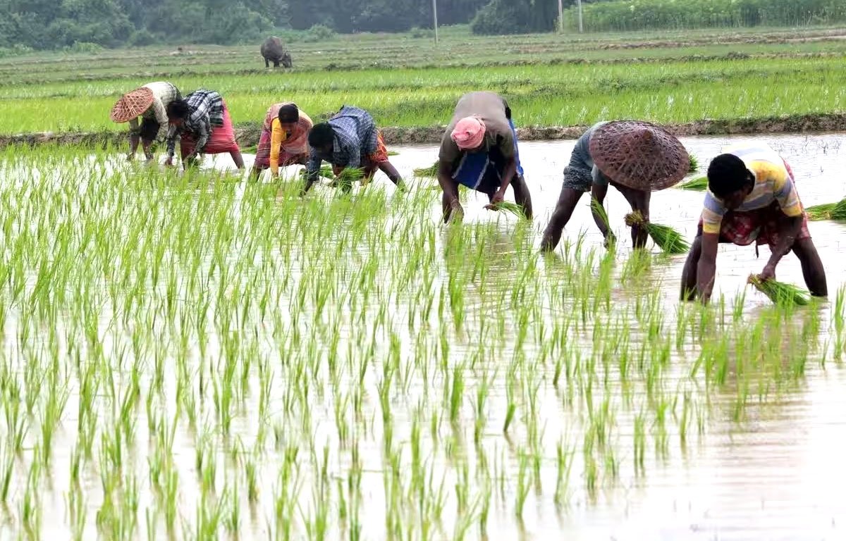 Farming and agriculture