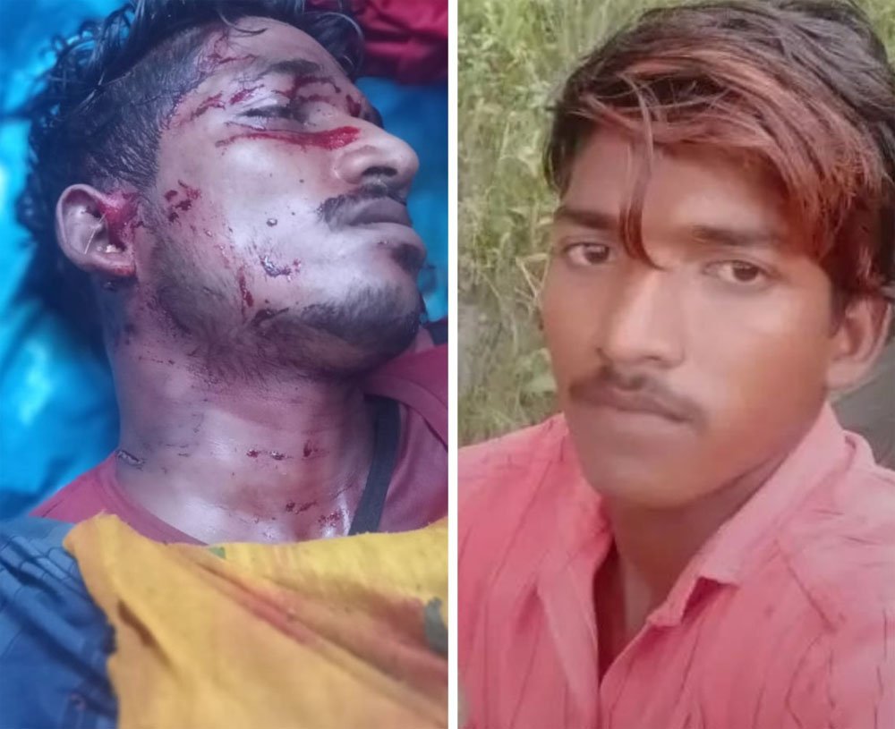 बाघिन ने युवक पर किया हमला