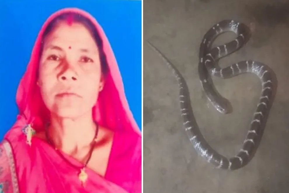 Sarpanch dies of Snake Bite