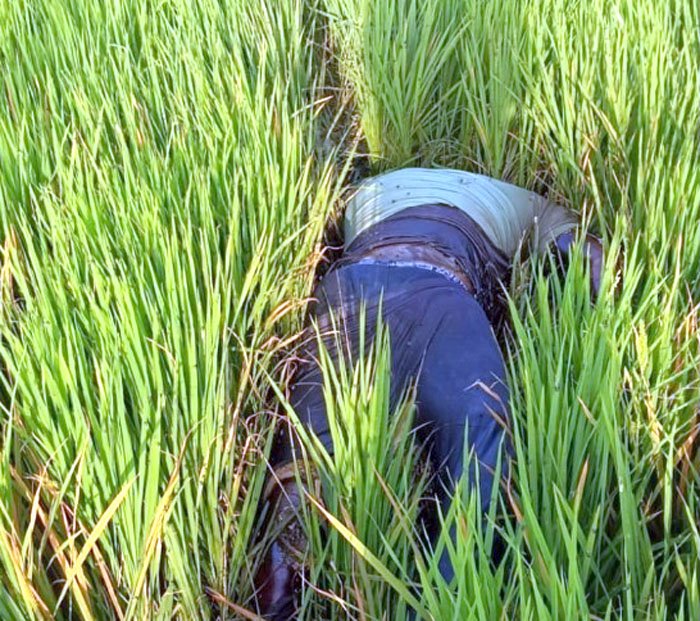 किसान का शव