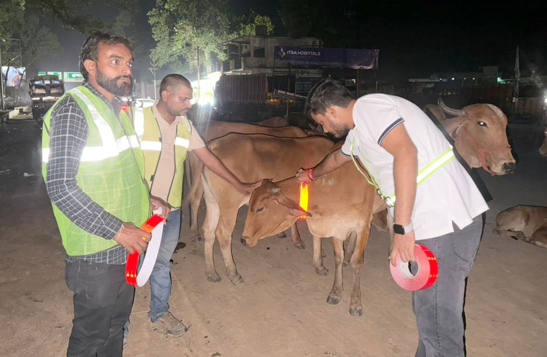 मवेशियों की सुरक्षा Gariaband
